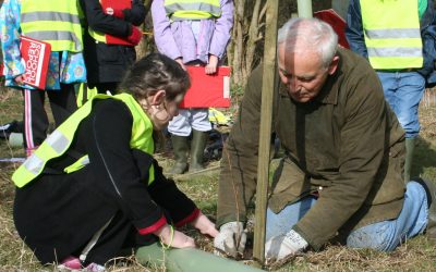 rotary member and child plant tree for rotary tree challenge