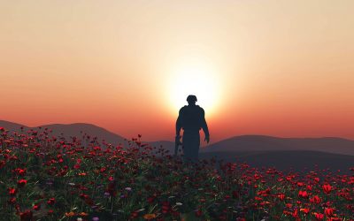 soldier walking poppies sunset rememberance